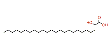 2-Hydroxytetracosanoic acid